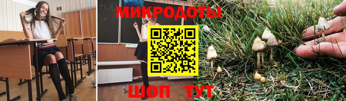 Псилоцибиновые грибы ЛСД Унеча