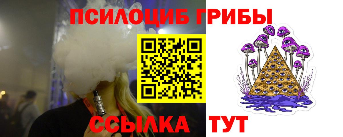 Унеча  где можно купить наркотик  Вход с VPN  Галлюциногенные грибы Cubensis 